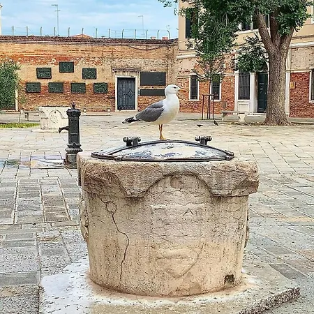 Ca'rosa البندقية